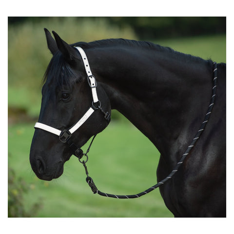 PROTECT by Horse-friends Halfter