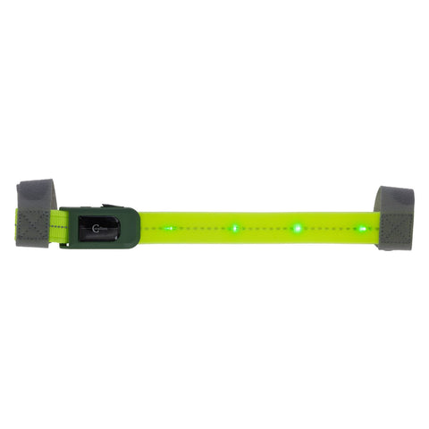 KERBL Stirnriemen LED