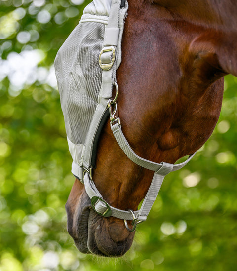 PREMIUM Fliegenmaske mit Halfter