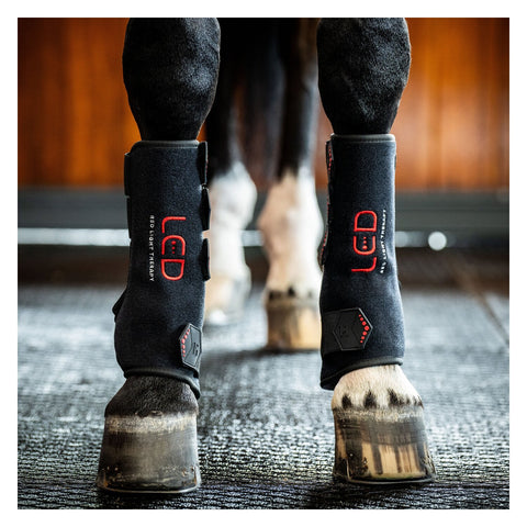 HORSEWARE Gamasche LED Red Light Therapy Leg Wraps, für die Vorderbeine