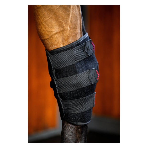 HORSEWARE Sprunggelenkgamasche LED Red Light Therapy