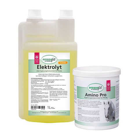 PFERDEfit by Loesdau Set Leistung I - Elektrolyt flüssig und Amino Pro