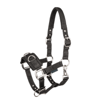 Longierhalfter Economic