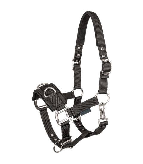 Longierhalfter Economic