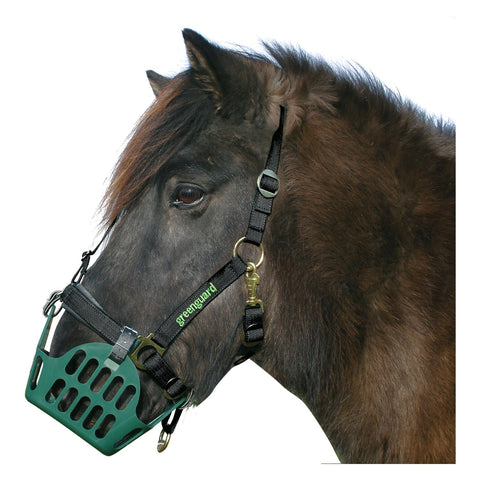 greenguard Halfter