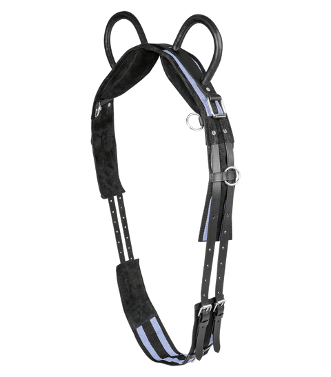 Longiergurt mit zwei Handgriffen