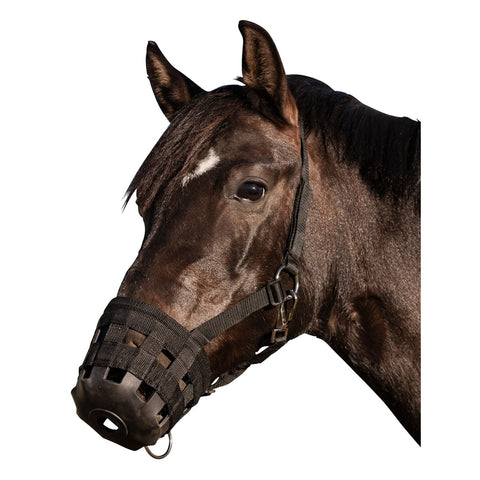 Horse-friends Weidemaulkorb mit PP-Webhalfter