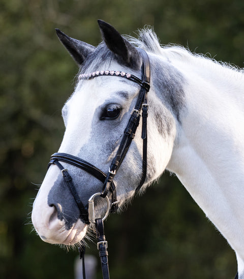 Trensenzaum Happy Hearts