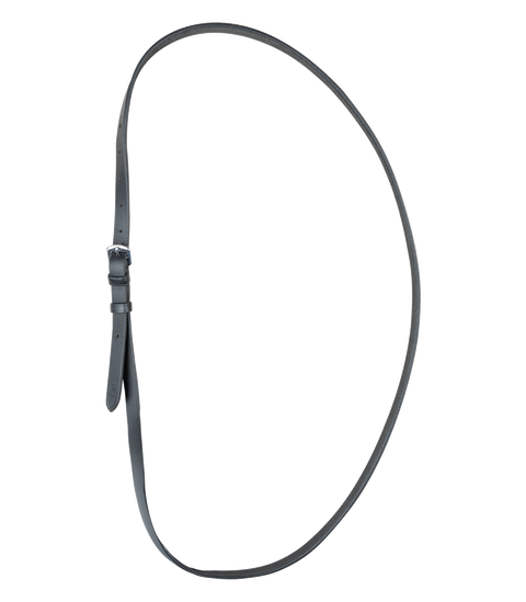 Waldhausen Ausreitriemen für Reitplakette