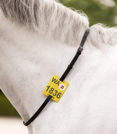 Waldhausen Ausreitriemen für Reitplakette