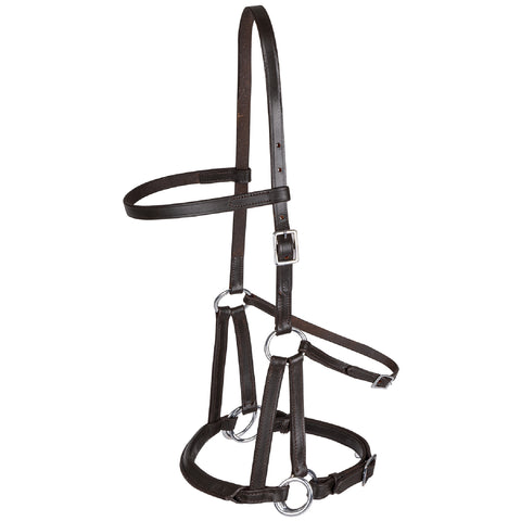 Linda Tellington Jones Lindel