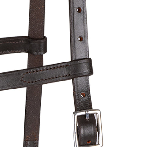 Linda Tellington Jones Lindel