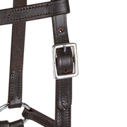 Linda Tellington Jones Lindel