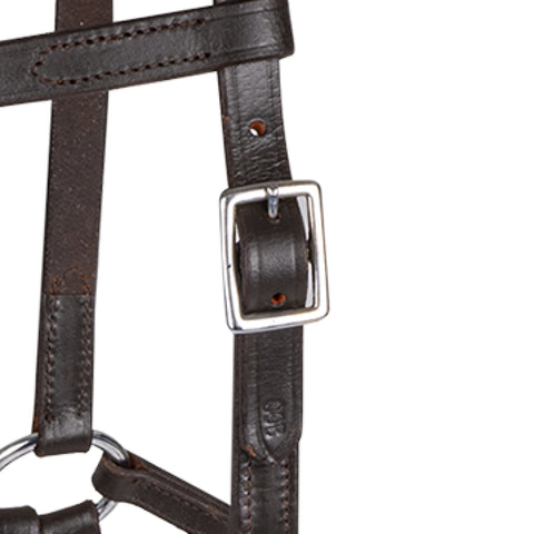 Linda Tellington Jones Lindel