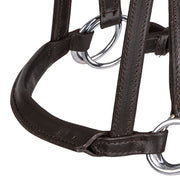 Linda Tellington Jones Lindel