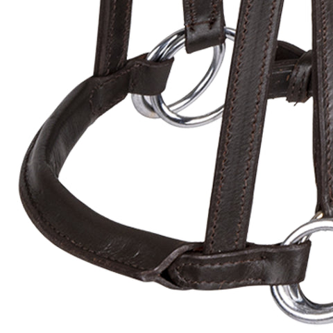 Linda Tellington Jones Lindel