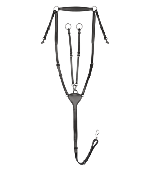 Waldhausen X-Line Vorderzeug Professional