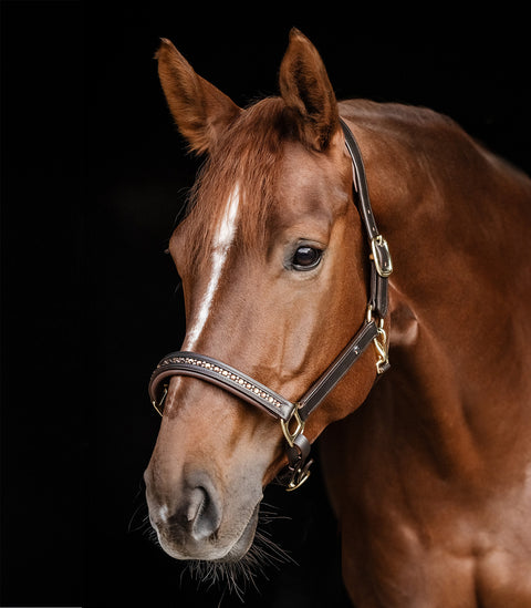 Waldhausen X-Line Lederhalfter Crystal