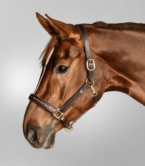 Waldhausen X-Line Lederhalfter Crystal