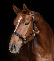 Waldhausen S-Line Lederhalfter Classy