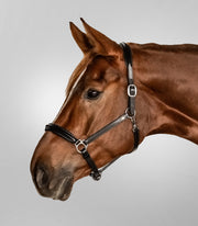 Waldhausen S-Line Lederhalfter Classy