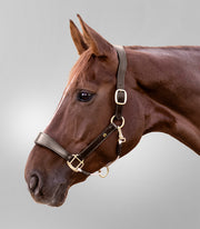 Waldhausen S-Line Lederhalfter Royal