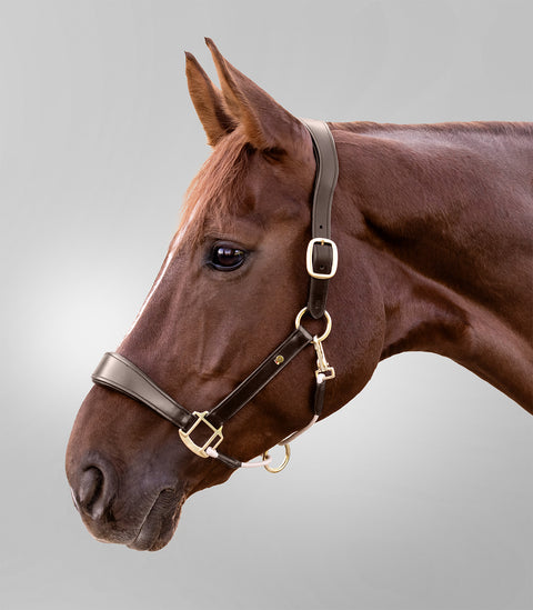 Waldhausen S-Line Lederhalfter Royal