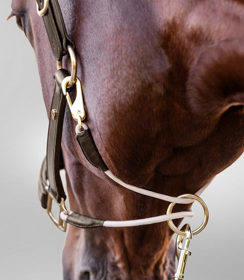 Waldhausen S-Line Lederhalfter Royal