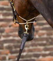 Waldhausen S-Line Lederhalfter Royal