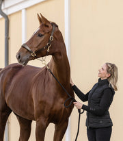 Waldhausen S-Line Lederhalfter Royal