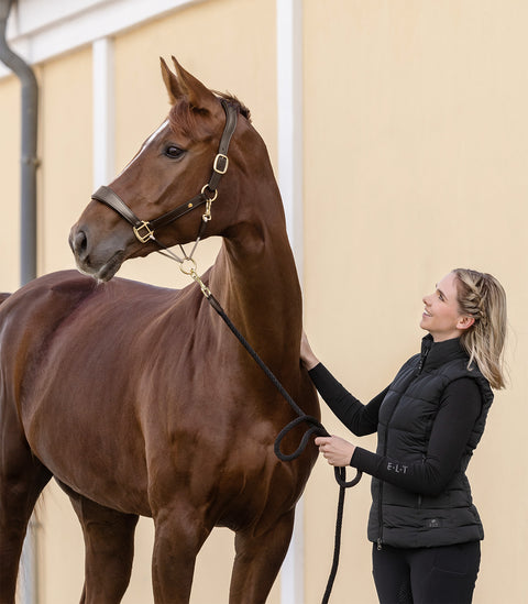 Waldhausen S-Line Lederhalfter Royal