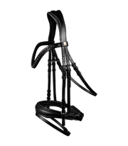 Waldhausen S-Line Lacktrensenzaum Blackshine