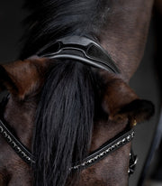 Waldhausen S-Line Lacktrensenzaum Blackshine