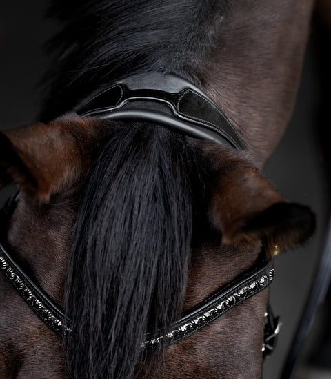 Waldhausen S-Line Lacktrensenzaum Blackshine