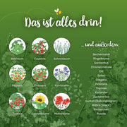 Saatgut-Adventskalender mit Türchen