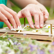 Blumenpresse für Blumen, Blüten & Co.