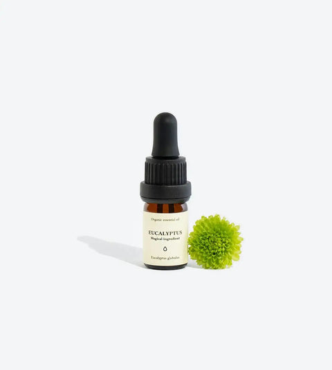 Eukalyptus ätherisches Öl – Natürlich Bio & vielseitig