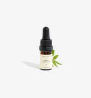 Ätherisches Ackerminzöl (Mentha arvensis) – natürlich biologisch