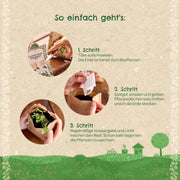 Anzuchtset – Minigarten BIO-Lavendel
