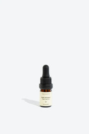 Ätherisches Bio-Kiefernöl – Pinus sylvestris für Harmonie & Reinigung