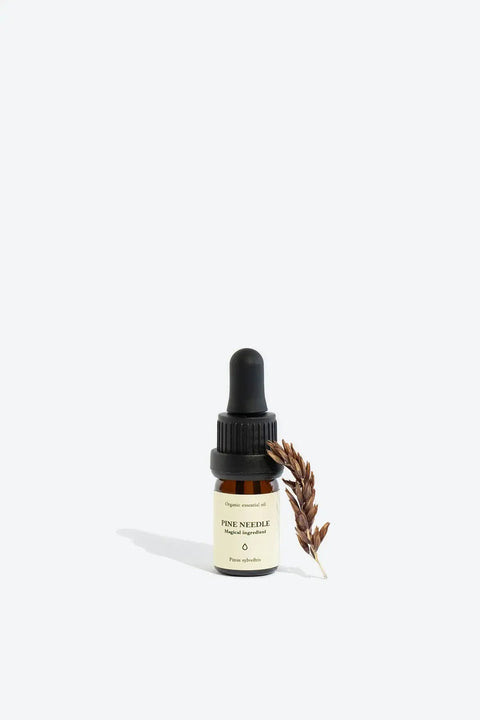Ätherisches Bio-Kiefernöl – Pinus sylvestris für Harmonie & Reinigung
