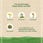 Streuwiese "Fiese Wiese"