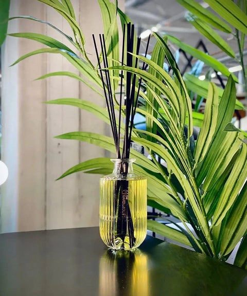 Signature Raumduft – Sinnlich-würziger Diffusor mit Amber & Kräutern