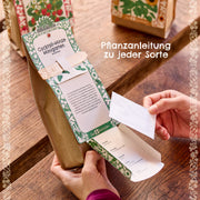 Anzuchtset – Minigarten Cocktail Minze