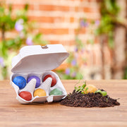6 bunte Blumenmurmeln im Eierkarton