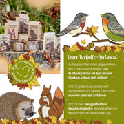 3 kleine Mahlzeiten für Igel, Eichhörnchen & Vögel