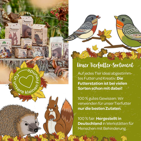 3 kleine Mahlzeiten für Igel, Eichhörnchen & Vögel