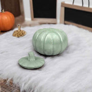 Kleine Kürbisdose – vielseitige Herbstdekoration mit Charme