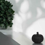 Kleine Kürbisdose – vielseitige Herbstdekoration mit Charme