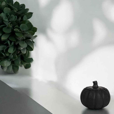 Kleine Kürbisdose – vielseitige Herbstdekoration mit Charme